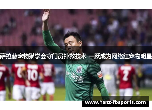 萨拉赫宠物猫学会守门员扑救技术 一跃成为网络红宠物明星