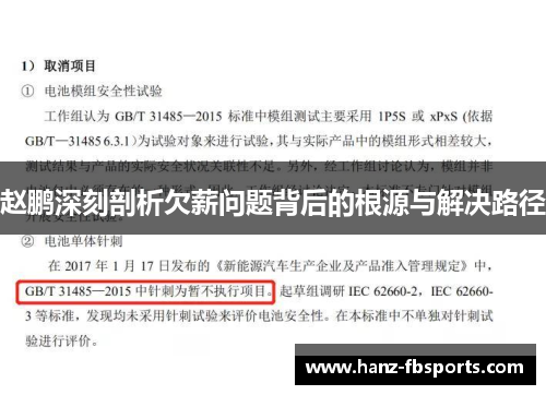 赵鹏深刻剖析欠薪问题背后的根源与解决路径 赵鹏深刻剖析欠薪问题背后的根源与解决路径