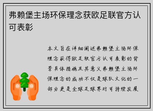 弗赖堡主场环保理念获欧足联官方认可表彰